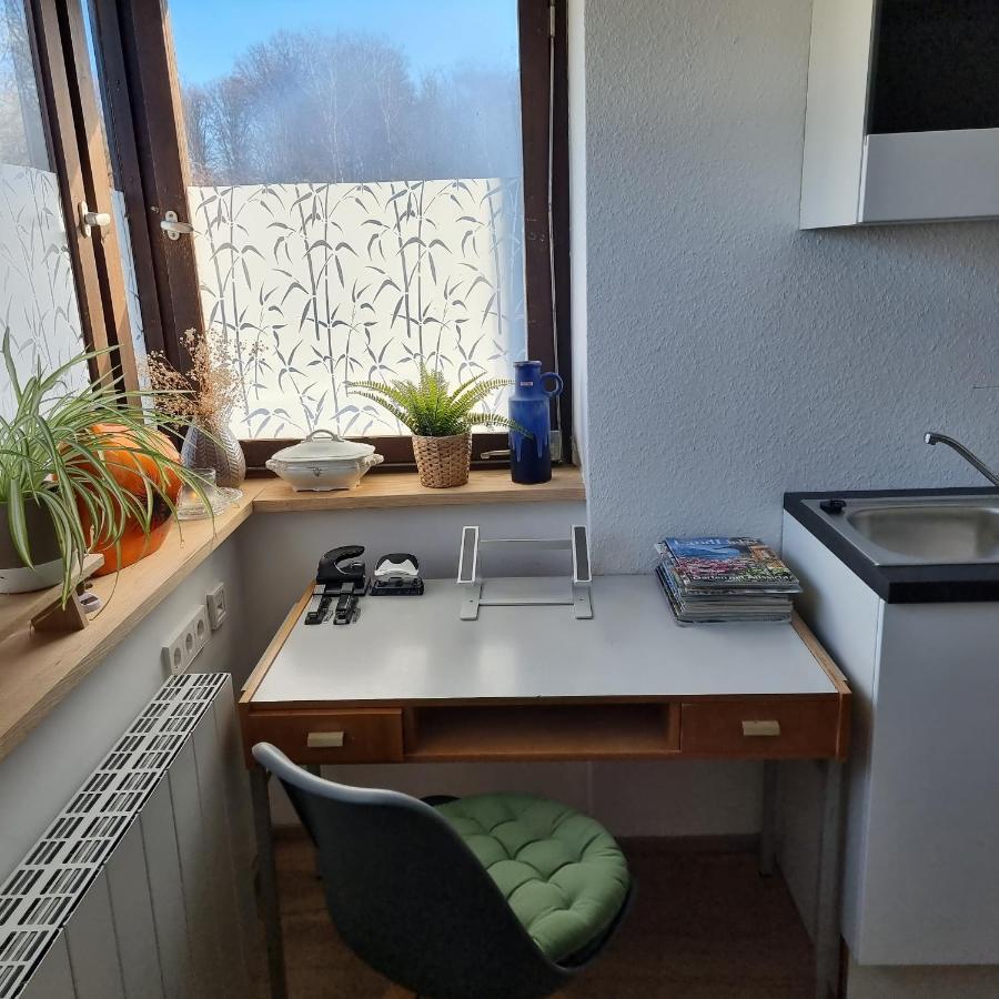 Exklusive Ferienwohnung Hattorfer Teiche Wolfsburgo Exterior foto