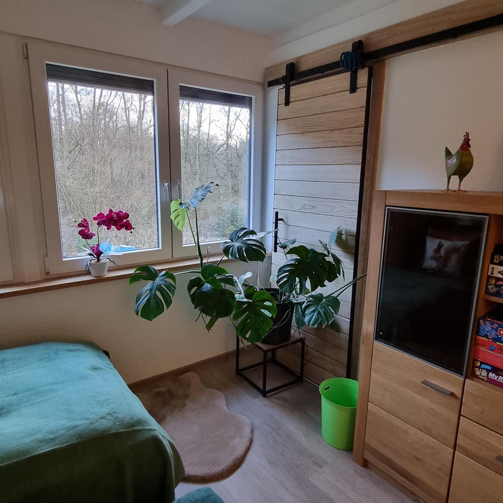 Exklusive Ferienwohnung Hattorfer Teiche Wolfsburgo Habitación foto